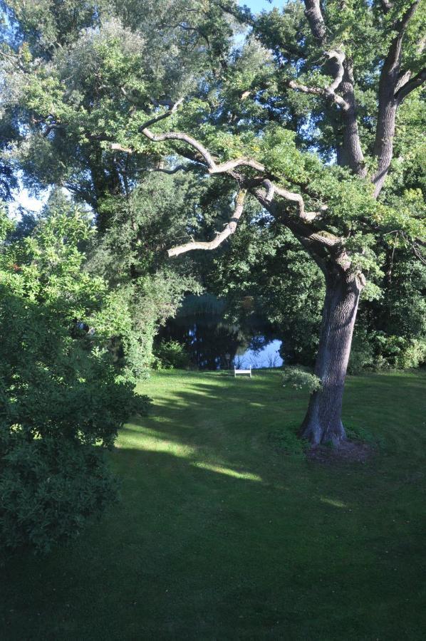 Gartenzimmer Im Schloss Neuhausen Neuhausen  外观 照片