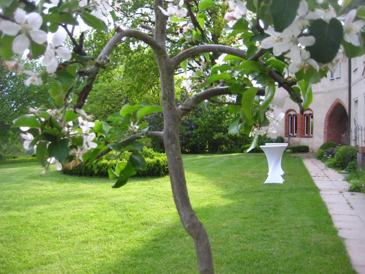 Gartenzimmer Im Schloss Neuhausen Neuhausen  外观 照片