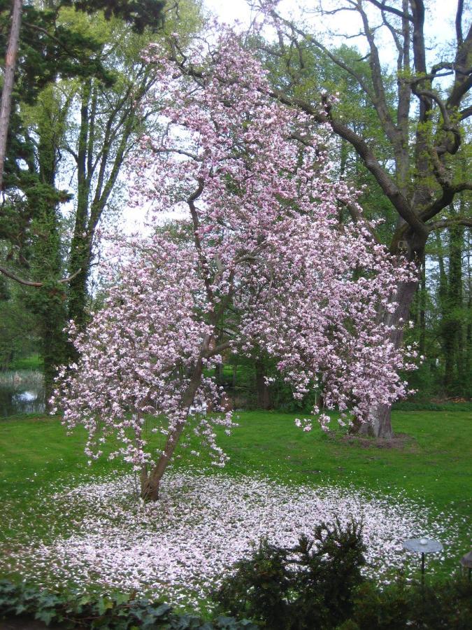 Gartenzimmer Im Schloss Neuhausen Neuhausen  外观 照片