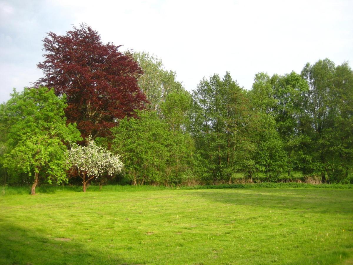 Gartenzimmer Im Schloss Neuhausen Neuhausen  外观 照片