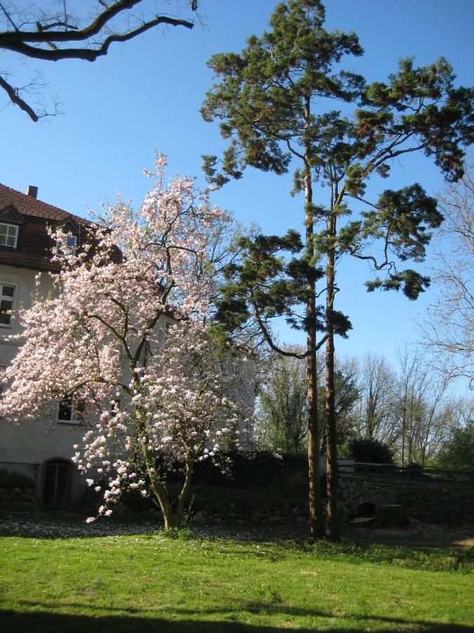Gartenzimmer Im Schloss Neuhausen Neuhausen  外观 照片